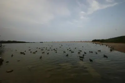 Paisaje cerca de este apartamento