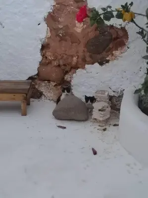 Casa Bartolo en invierno