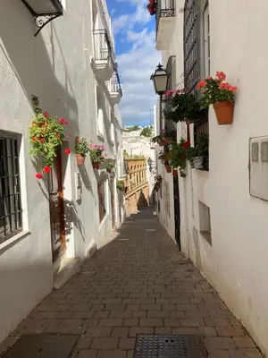 El barrio de los alrededores o un barrio cerca de este apartamento