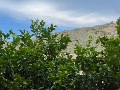 Paisaje cerca de este apartamento