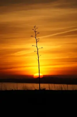Amanecer o atardecer desde el apartamento o alrededores