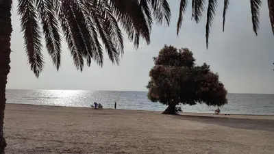 Paisaje cerca de este apartamento