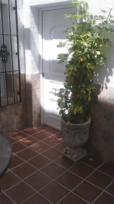 Plano de APARTAMENTO ANTONIA 1