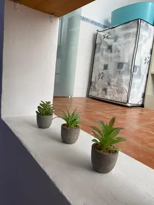 Plano de CASA DEL PEZ Vivienda a pie de calle en Agua Amarga a 250 metros de la playa