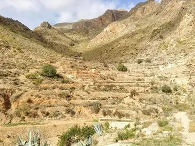 Paisaje cerca de esta casa o chalet