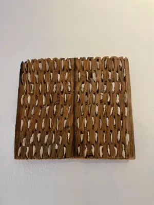 Plano de Casa Amigos Sorvilan- La Palmera