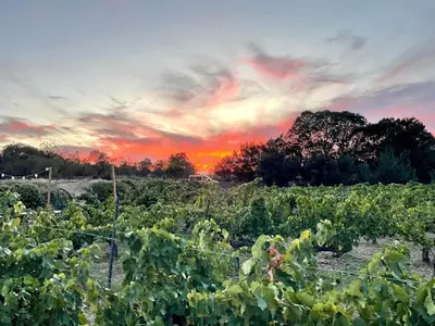 Amanecer o atardecer desde el apartamento o alrededores