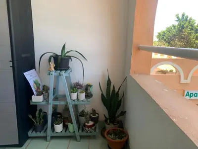 Plano de Estudio Roquetas