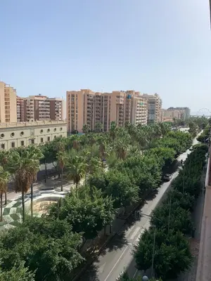 El barrio de los alrededores o un barrio cerca de este apartamento