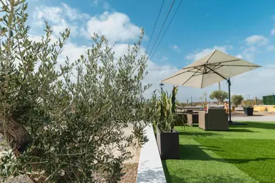 Jardín al aire libre en Cortijo El Pinar 1