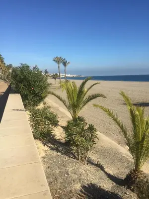 Paisaje cerca de este apartamento