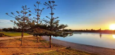 Paisaje cerca de este apartamento