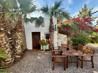 Jardín al aire libre en La Washingtonia