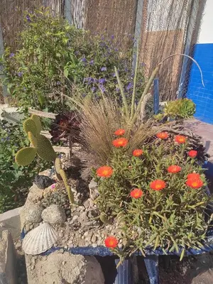 Jardín al aire libre en Casas Rurales Villa Sargento