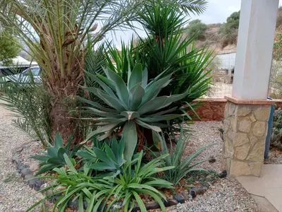 Jardín al aire libre en CORTIJO Rural MOLINO EL TARAHAL con piscina y zonas compartidas