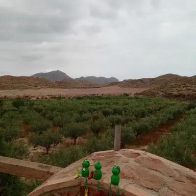CORTIJO Rural MOLINO EL TARAHAL con piscina y zonas compartidas