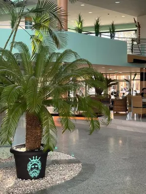 Plano de Hotel Neptuno by ON Hotels Group