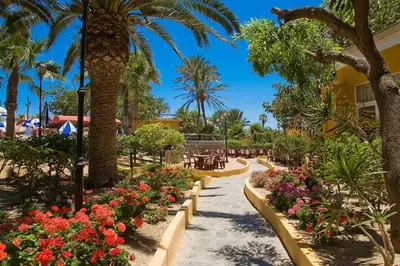 Jardín al aire libre en Playasol