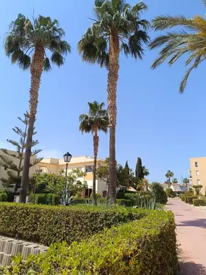 Jardín al aire libre en Bahia de Vera apartamento Abaco