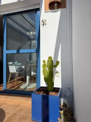 Un balcón o terraza de Las Negras 10
