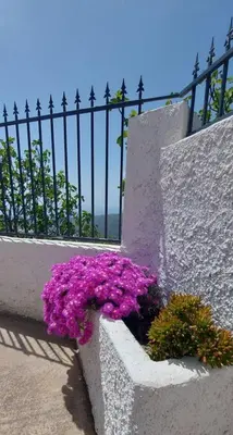 Jardín al aire libre en Cortijo Blanco