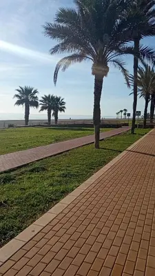 Paisaje cerca de este apartamento