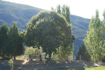 Paisaje cerca de esta casa o chalet