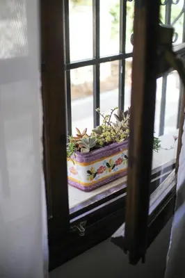 Comida en o cerca de este apartamento
