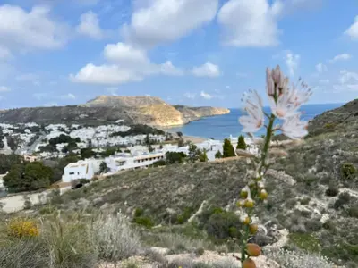 Paisaje cerca de este apartamento