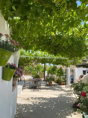 Jardín al aire libre en El Majuelo 2