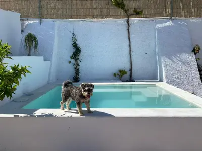 Piscina en o cerca de El Majuelo 2