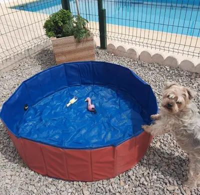 Mascotas con sus dueños en Lorca - Cottage - Sleeps 4 - Pet Friendly - Pool
