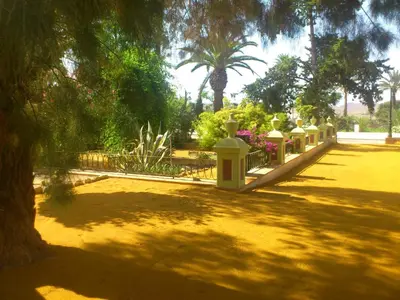 Jardín al aire libre en Ala Mexicana