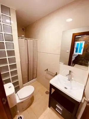 Un baño de APARTAMENTO BUEN DÍA