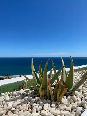 Paisaje cerca de este apartamento