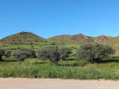 Paisaje cerca de esta casa o chalet