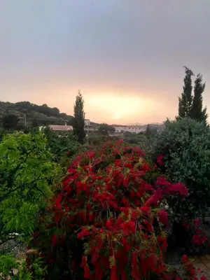 Paisaje cerca de esta habitación en casa particular