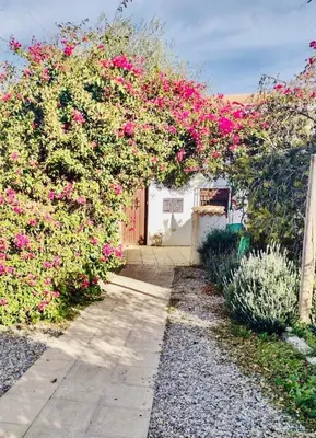 Jardín al aire libre en Lavender Lodge Almeria