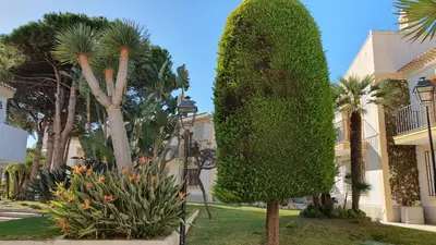 Jardín al aire libre en Very Very Vera Beach - Freshly Renovated
