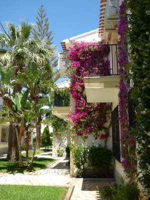 Jardín al aire libre en Very Very Vera Beach - Freshly Renovated