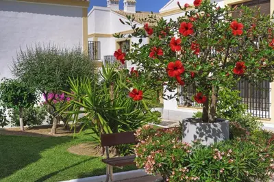 Jardín al aire libre en Very Very Vera Beach - Freshly Renovated