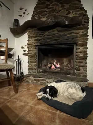 Mascotas con sus dueños en Molino Laroya