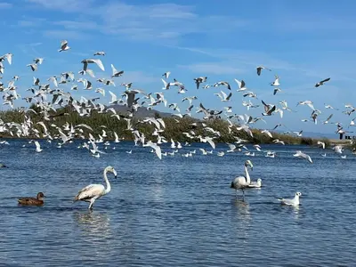 Paisaje cerca de este apartamento