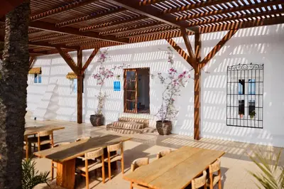 Un patio o zona al aire libre en Cortijo La Loma Olivencia Natural