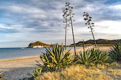 Paisaje cerca de este apartamento